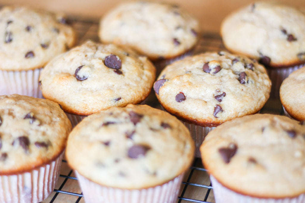 Chocolate Chip Muffins